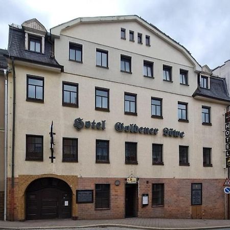 Hotel Goldener Loewe Zeulenroda-Triebes ภายนอก รูปภาพ